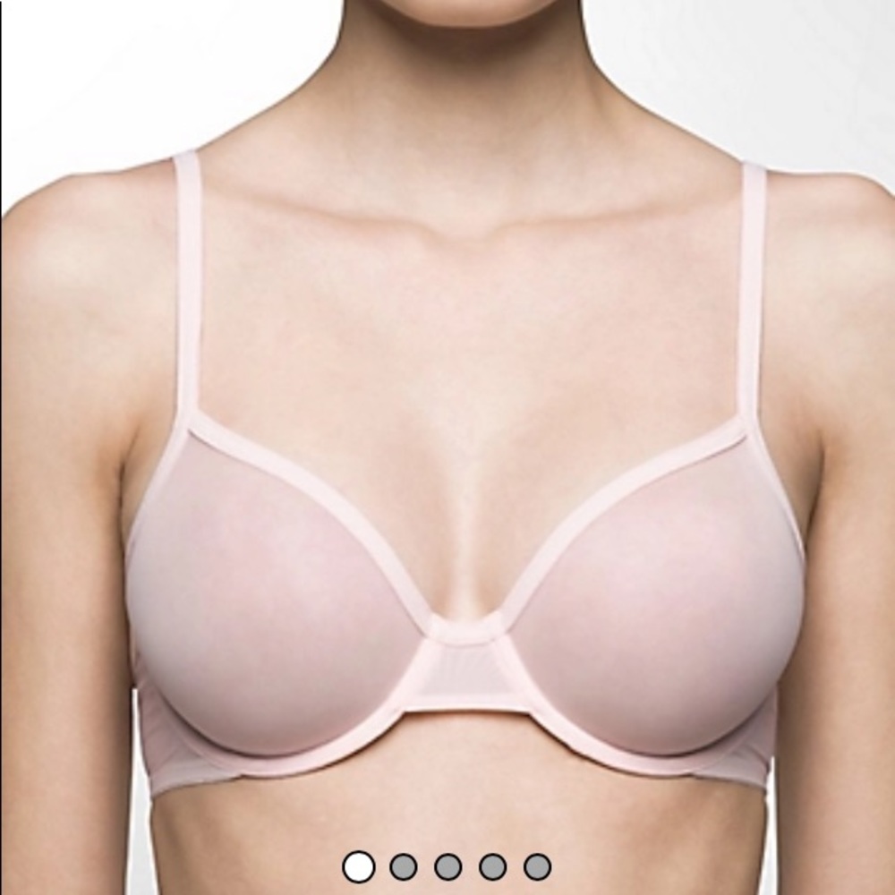 Calvin Klein sheer bra size 34D